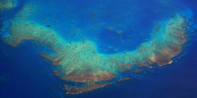 Besseren Schutz für Great Barrier Reef