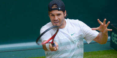 Tommy Haas