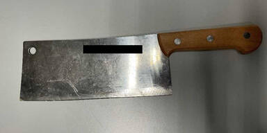 Wiener bedroht Nachbarn mit Messer und Hackbeil