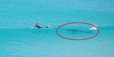Hier entkommt ein Surfer einem Riesen-Hai