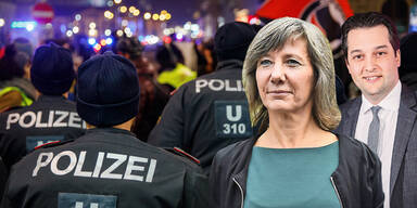 Grün-blauer Streit um Demo-"Steinwurf"