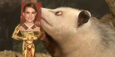 Opossum Heidi schielt auf Natalie Portman