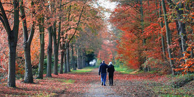 herbst_spaziergang_sxc