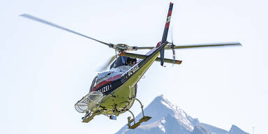Aggressiver Wolfshund sorgt für Hubschrauber-Einsatz
