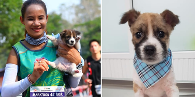 Marathon-Läuferin rettet verwaisten Hund - trägt ihn ins Ziel