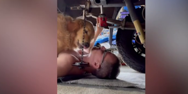Hund kuschelt mit Mann unter Auto