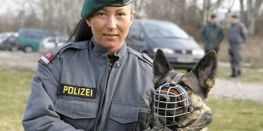 Polizei-Hund fasst Räuber 