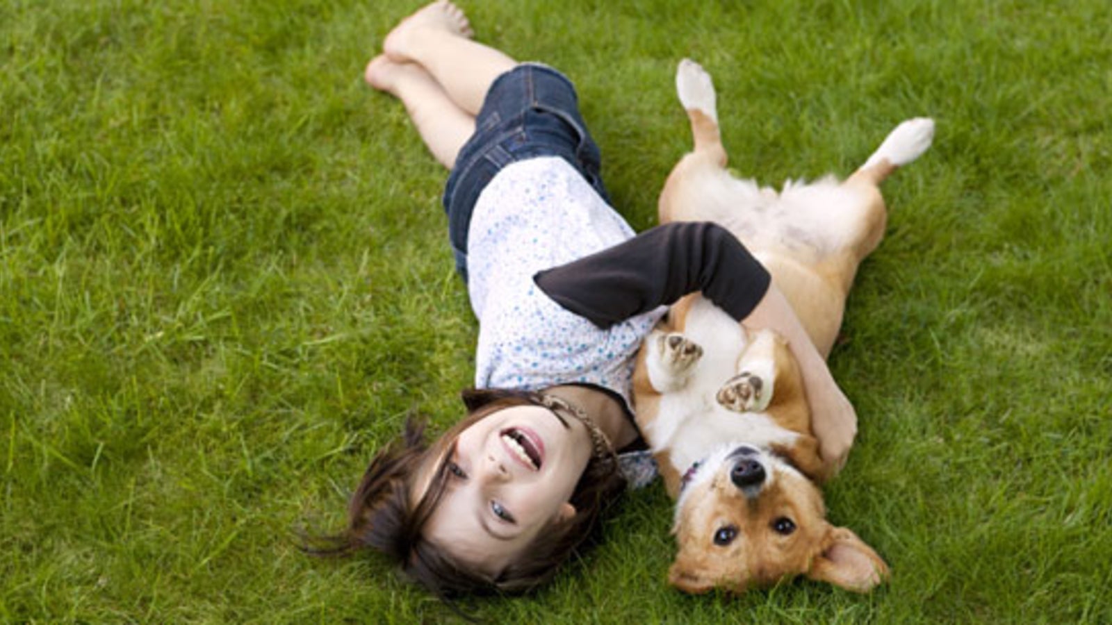 In diesen Hotels sind Hunde willkommen REISELUST