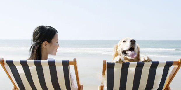 Die schönsten Hotels für Urlaub mit Hund