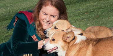 Prinz Andrews Ex-Frau posiert mit Queen-Hunden