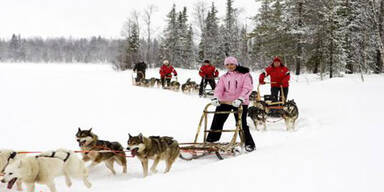 Finnland: Polarlichter und Huskytour