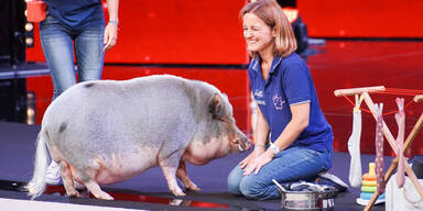 Supertalent: Dieses Austro-Schwein hat es auf Bohlen abgesehen
