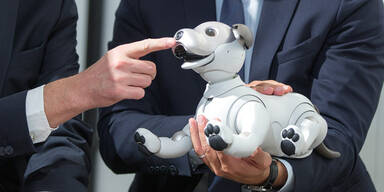 Sonys Roboterhund wohl bald in Europa