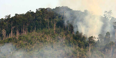 indonesien_waldbrand