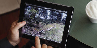 Einbrecher aus 8000km via iPad entdeckt
