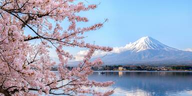 Zauberhafte Kirschblüte: Frühling in Japan
