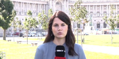 oe24.TV-Reporterin Julia Rauch