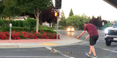 Mann hilft Entenfamilie über Straße und wird totgefahren
