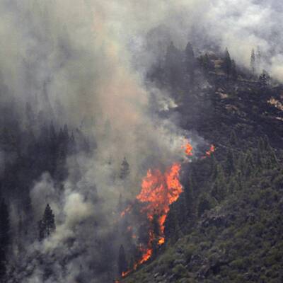Waldbrände in Spanien außer Kontrolle