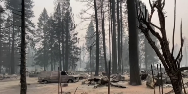 Waldbrand Kalifornien
