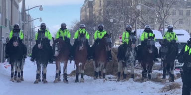 kanada corona proteste