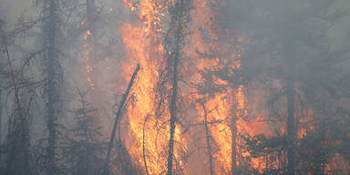 Feuer-Inferno in Kanada weiter außer Kontrolle