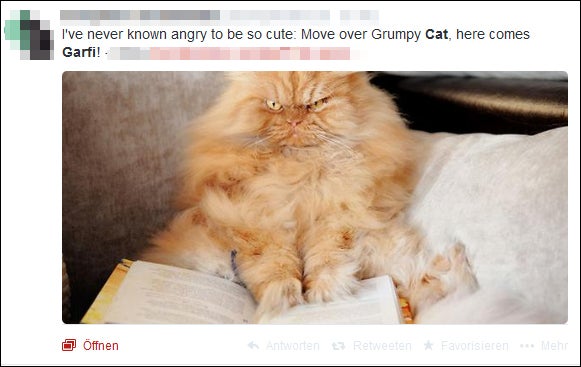 garfi