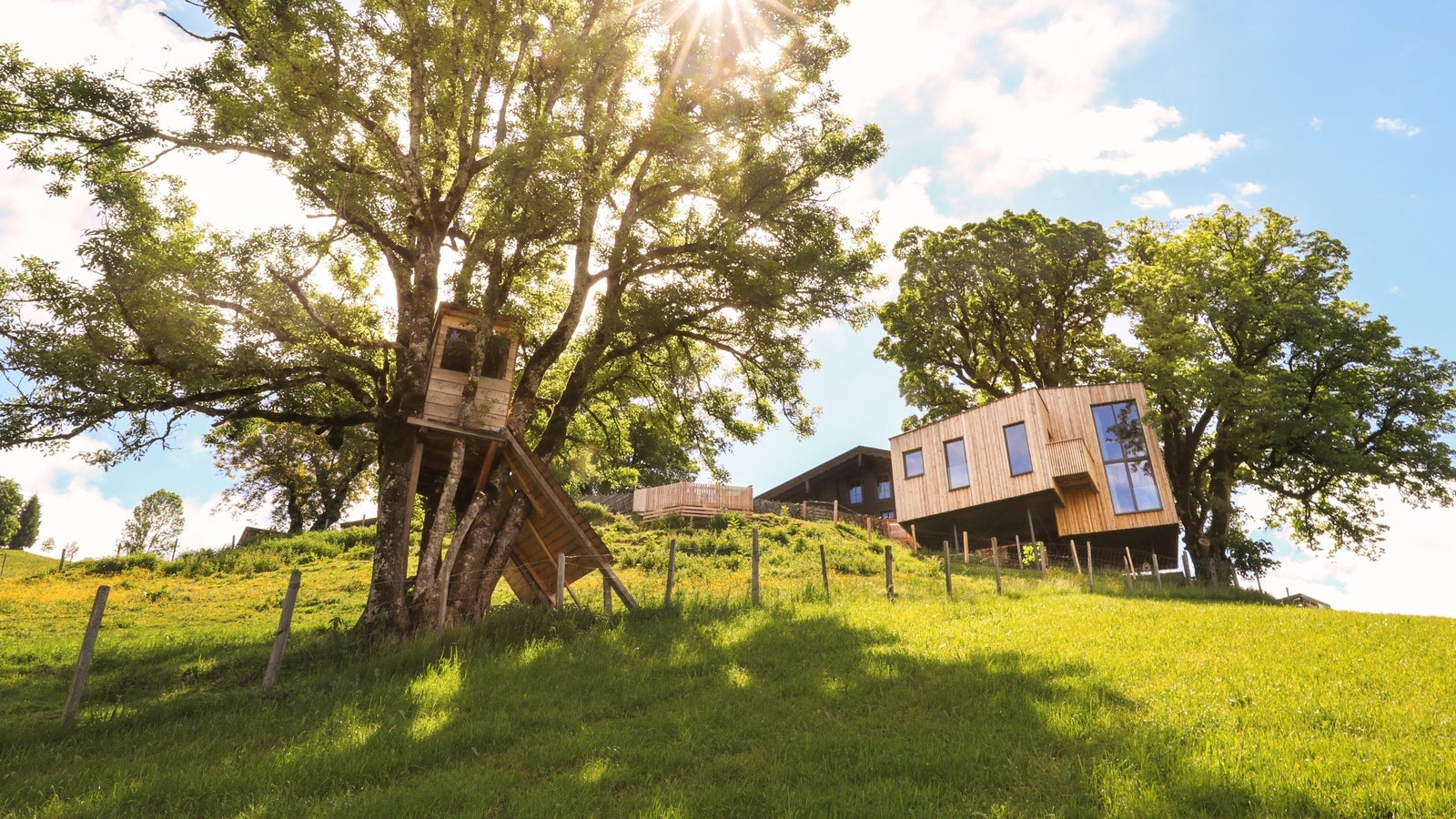 Zeichenstunde Mit Dem Live Art Club: Baumhaus – HACU