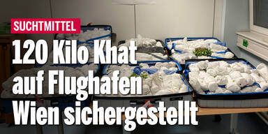 Reisende schmuggelten 120 Kilogramm Khat im Gepäck