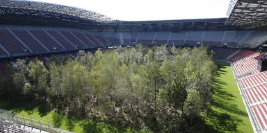 Der erste Blick auf den Klagenfurter Stadion-Wald
