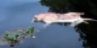 Mysteriöse Mutanten-Kreatur in einem See entdeckt
