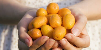 Kumquat als leckeres Trend-Obst