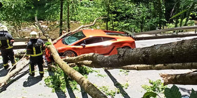 Stubenbergklamm: Baum stürzt auf Lamborghini
