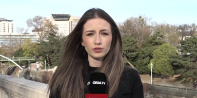 oe24.TV-Reporterin Anabell Amini