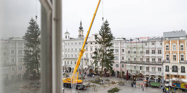 Christbaum in Linz