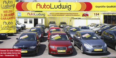 Advertorial Auto Ludwig