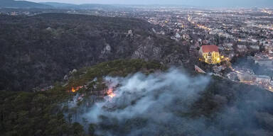 Feuerwehreinsatz wegen Waldbrand bei Mödling