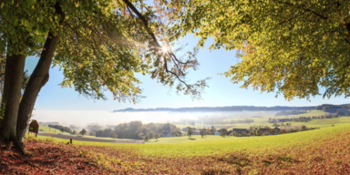 Herbstzeit in der Urlaubsregion Vitalwelt Bad Schallerbach