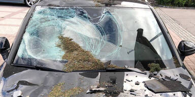 Maibaum unbefugt umgesägt: Mehrere Autos beschädigt
