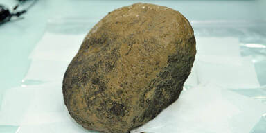 Meteorit deutet auf Leben auf Mars hin 