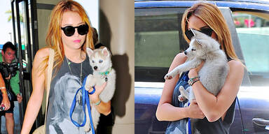 Miley Cyrus: Verliebt in ihr Baby