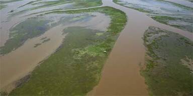 Mississippi-Delta von Ölpest erholt