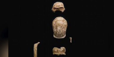 neandertaler fossil