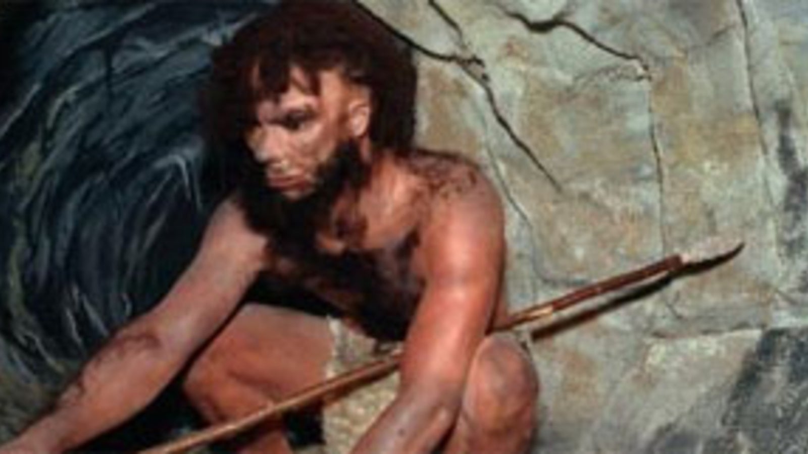 Mensch Hatte Sex Mit Neandertalern Oe24 At