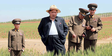 UN warnt vor Hungersnot in Nordkorea