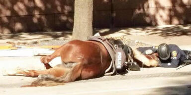 Polizist steht seinem Pferd im Todeskampf bei