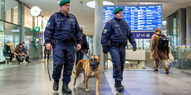 Task Force: Einsatzgruppe nahm bisher elf Jugendliche in NÖ fest