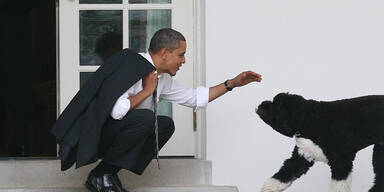 Obamas Hund fällt Mädchen an