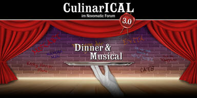 Dinner & Musical Show im Novomatic Forum