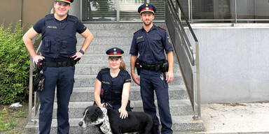 Hund stürzte in Bach und war geschwächt - Polizisten retteten das Tier